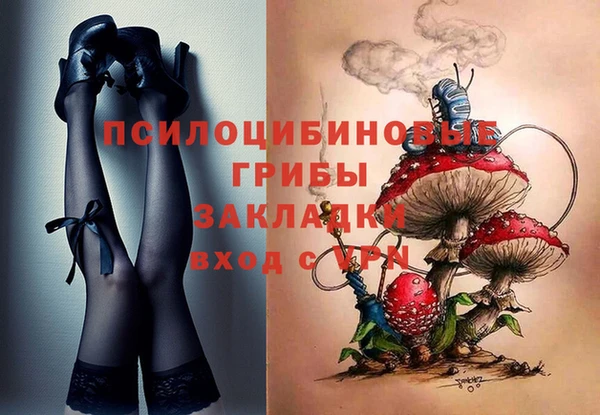 ешки Абаза