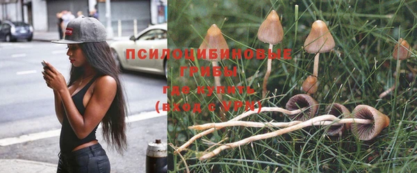 ешки Абаза