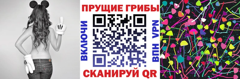 Галлюциногенные грибы Cubensis ОМГ ОМГ ССЫЛКА Мосальск где можно купить наркотик